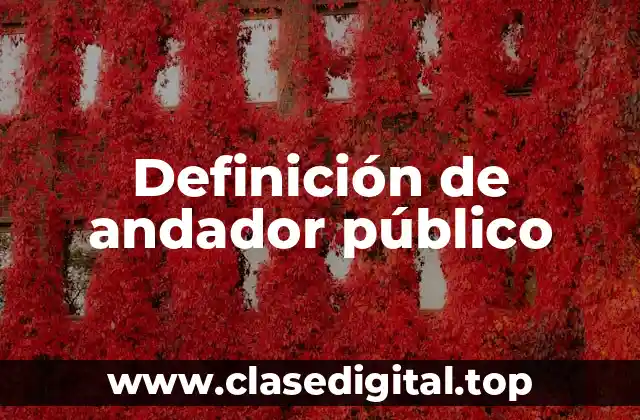 Definición de andador público