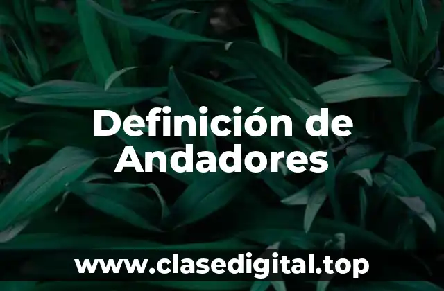 Definición de Andadores