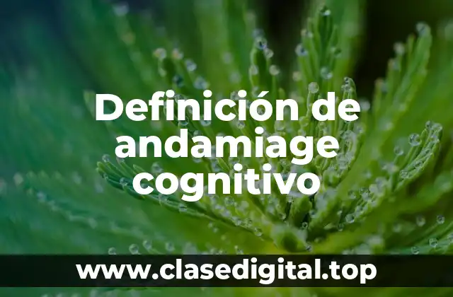 Definición de andamiage cognitivo