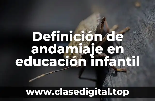 Definición de andamiaje en educación infantil