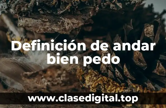 Definición de andar bien pedo