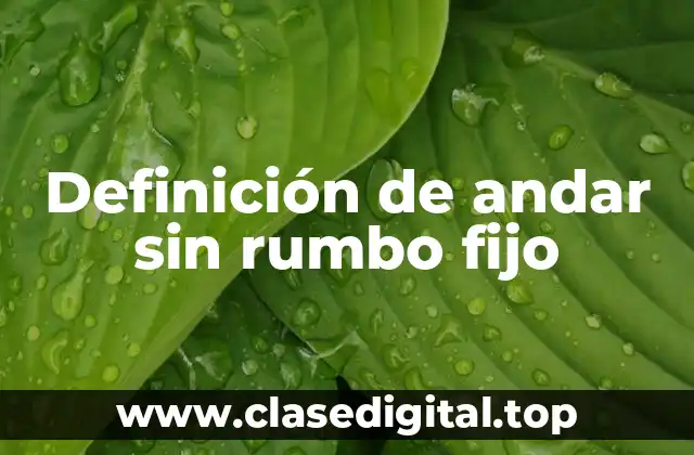 Definición de andar sin rumbo fijo