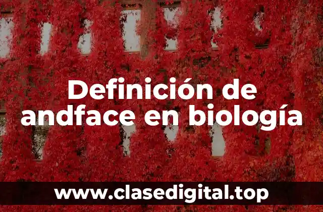 Definición de andface en biología