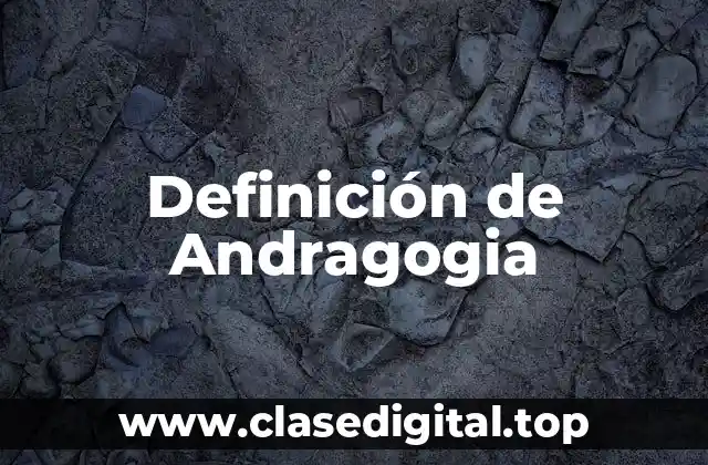 Ejemplos de Andragogia
