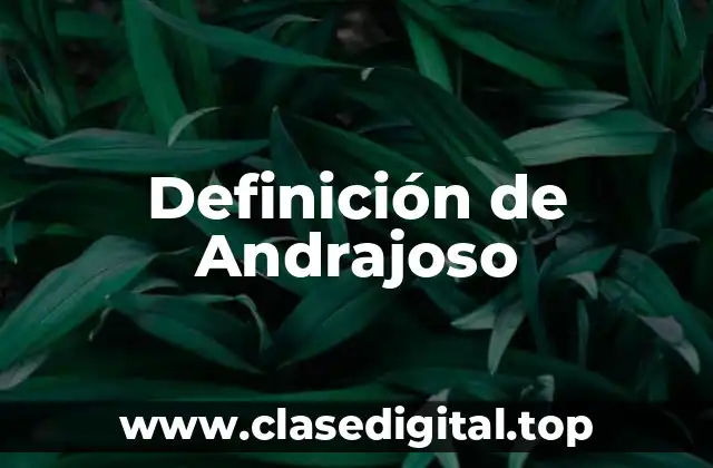 Definición de Andrajoso