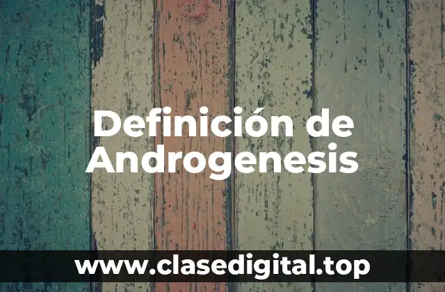 Definición de Androgenesis