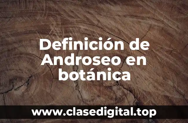 Definición de Androseo en botánica
