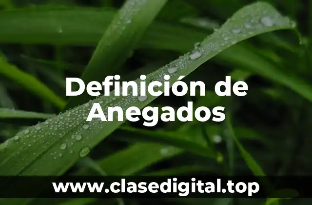 Definición de Anegados