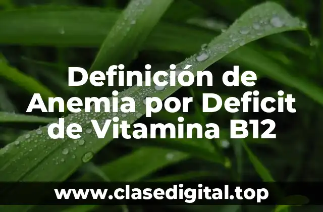 Definición de Anemia por Deficit de Vitamina B12