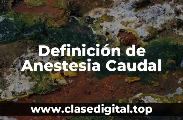 Definición de Anestesia Caudal
