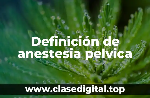 Definición de anestesia pelvica