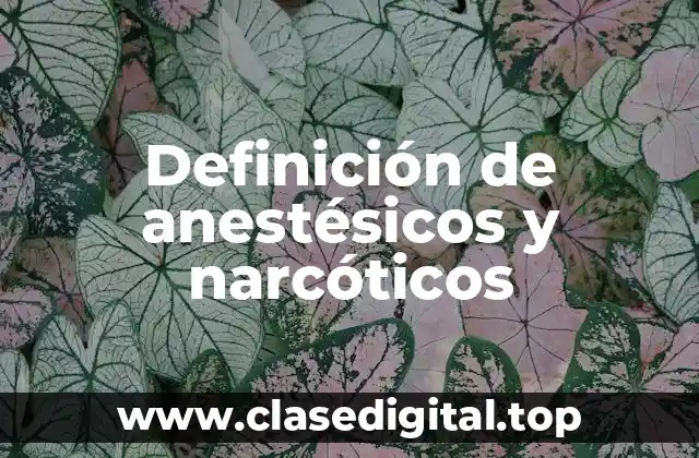 Definición de anestésicos y narcóticos