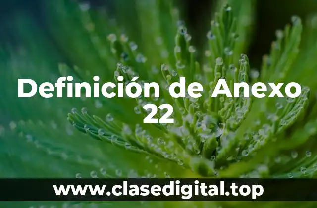 Definición de Anexo 22