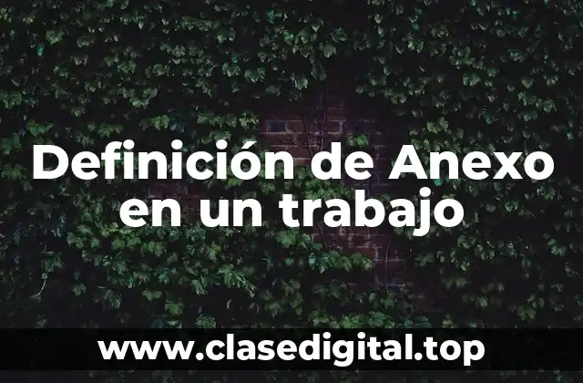 Definición de Anexo en un trabajo