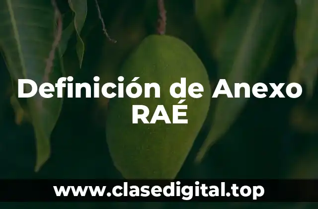 Definición de Anexo RAÉ