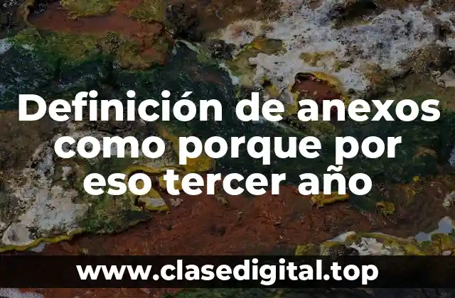 Definición de anexos como porque por eso tercer año