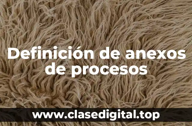 Definición de anexos de procesos