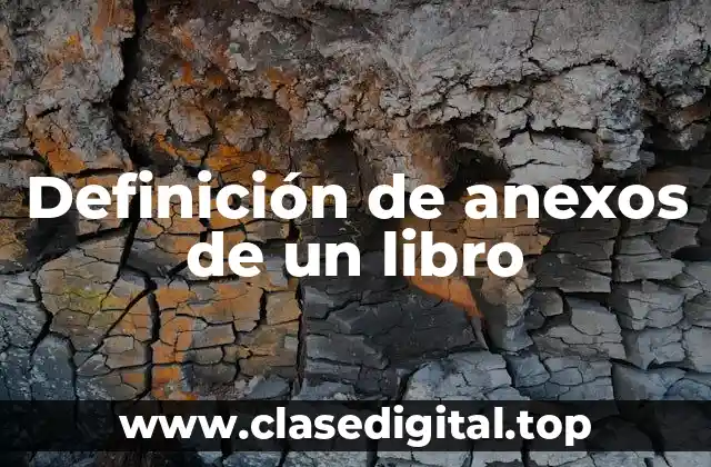 Definición de anexos de un libro