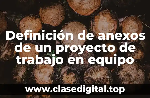 Ejemplos de anexos de un proyecto de trabajo en equipo
