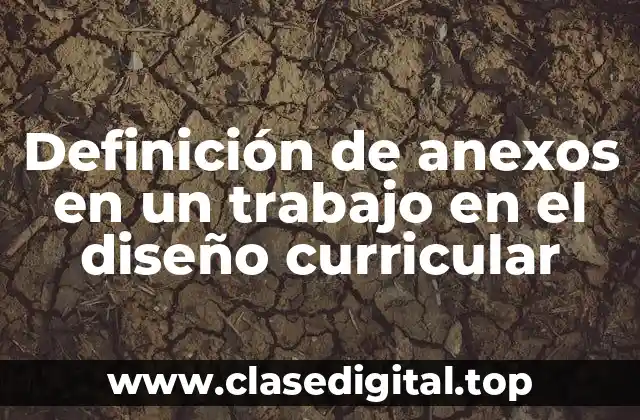 Definición de anexos en un trabajo en el diseño curricular