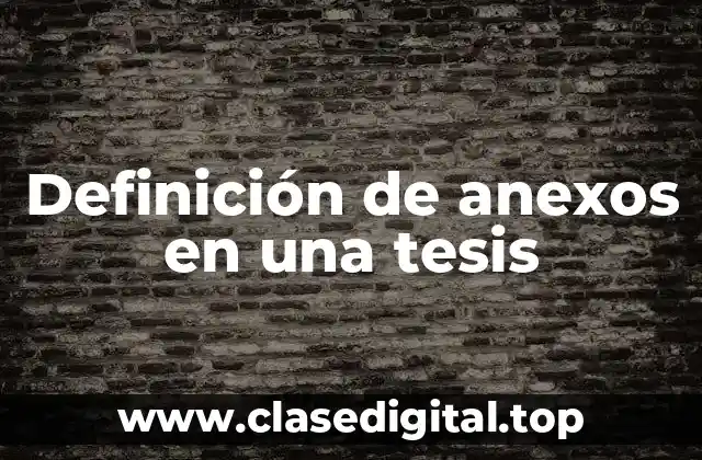 Definición de anexos en una tesis