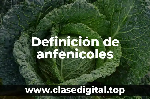 Definición de anfenicoles