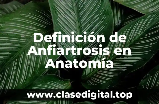 Definición de Anfiartrosis en Anatomía