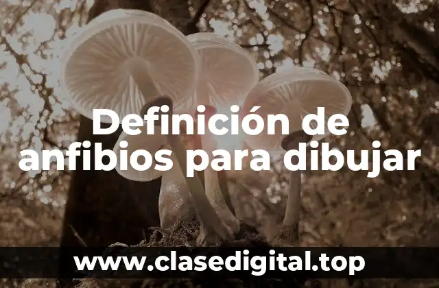 Definición de anfibios para dibujar