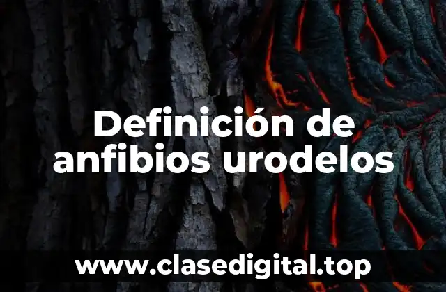 Definición de anfibios urodelos