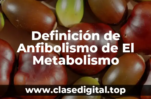 Definición de Anfibolismo de El Metabolismo