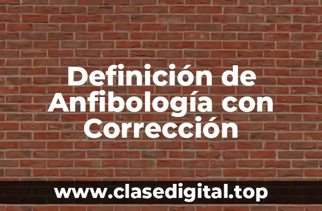 Definición de Anfibología con Corrección