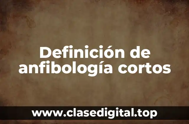 Definición de anfibología cortos