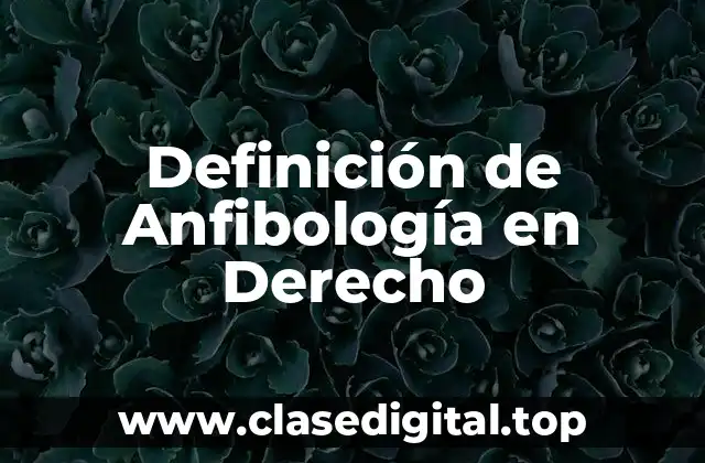 Definición de Anfibología en Derecho