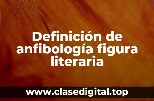 Definición de anfibología figura literaria