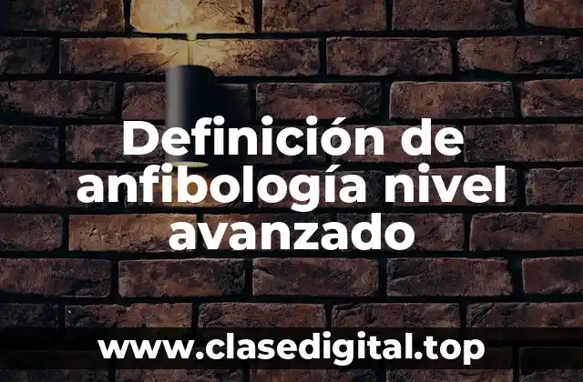 Definición de anfibología nivel avanzado