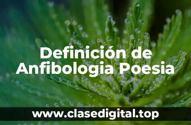 Ejemplos de Anfibologia Poesia