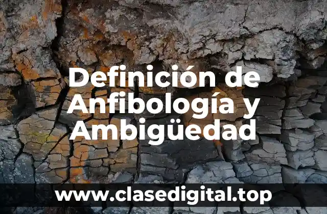 Definición de Anfibología y Ambigüedad