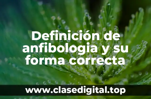 Definición de anfibologia y su forma correcta