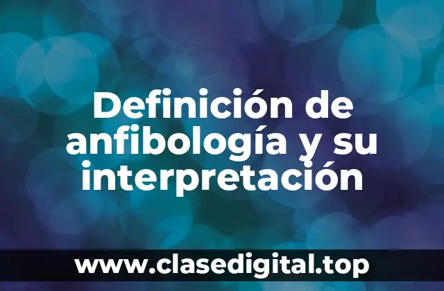Definición de anfibología y su interpretación