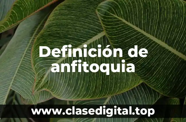 Definición de anfitoquia
