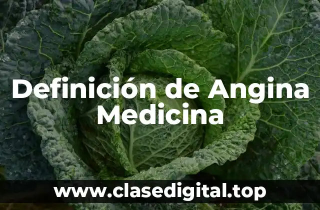 Definición técnica de angina medicina
