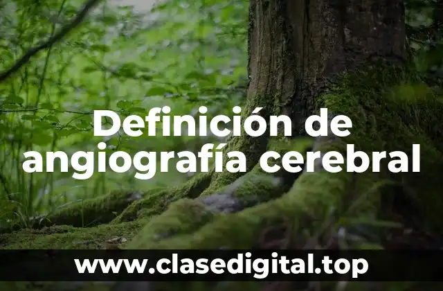 Definición de angiografía cerebral