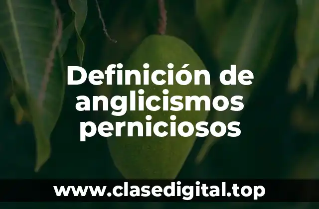 Definición de anglicismos perniciosos