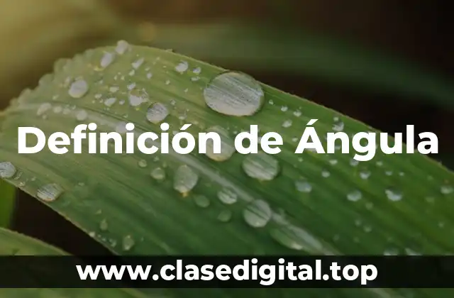Definición de Ángula