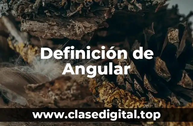 Definición técnica de Angular