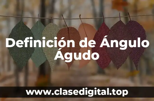 Definición Técnica de Ángulo Águdo
