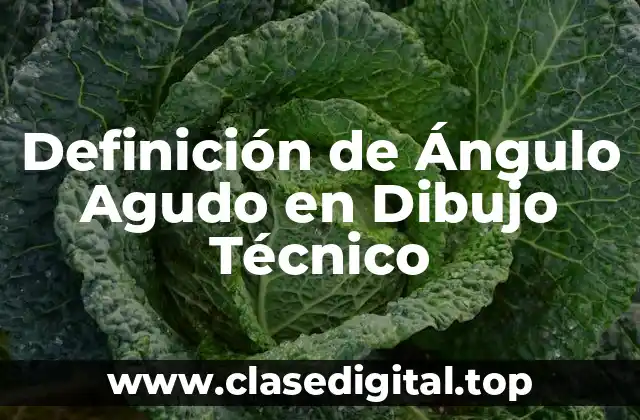 Definición de Ángulo Agudo en Dibujo Técnico