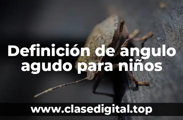 Definición de angulo agudo para niños