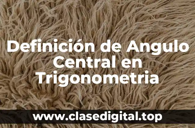 Definición de Angulo Central en Trigonometria