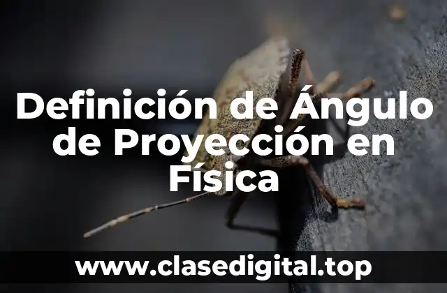 Definición de Ángulo de Proyección en Física